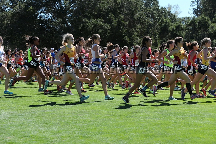 2015SIxcHSD2-113.JPG - 2015 Stanford Cross Country Invitational, September 26, Stanford Golf Course, Stanford, California.